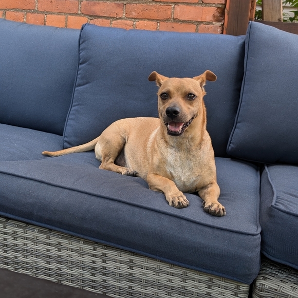 Meet your Posher, Musonda - Picture 1 of 1